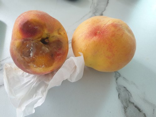 [유명산지] 자연맛남 꿀맛남 노지 황도복숭아 4kg (18과내외)