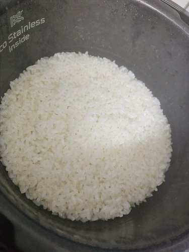 김화농협 철원오대쌀 10kg