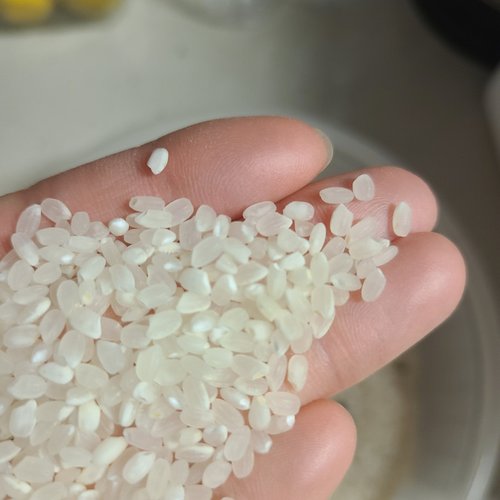 23년 햅쌀 임금님표이천쌀 특등급 알찬미 쌀4kg 이천남부농협