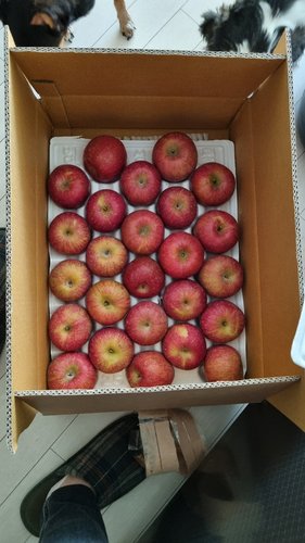 [유명산지] 달콤한 부사 사과 5kg 28과내