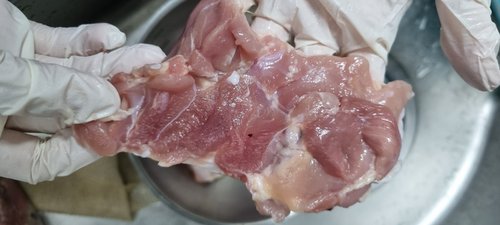 에그파파 국내산 신선 냉장 닭다리살 사이정육 1.5kg