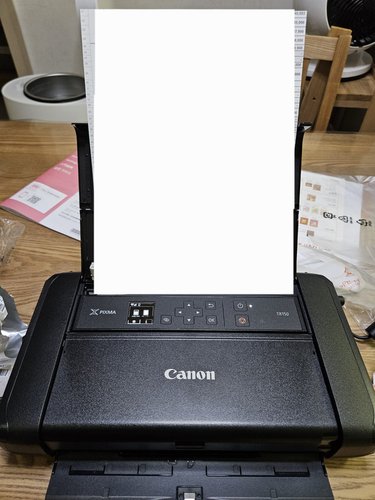 캐논 휴대용 잉크젯 프린터 TR150 (잉크포함)