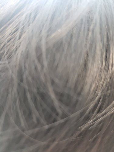 리엔 흑모비책 골드 염모제 90gx4개(흑색/흑갈색/자연갈색/짙은갈색 택1)