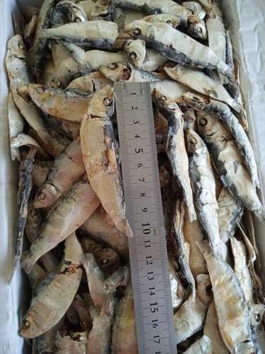 서래푸드 디포리1.5kg 밴댕이 최상급 실속형 육수 다시멸치