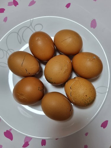 ◆계란은 역시 구운계란!◆ 쫄깃쫄깃 탱글탱글 구운 계란 2판 / 훈제란 60구