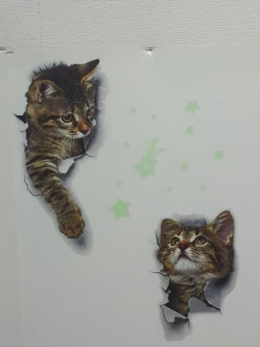 1+1+1 고양이스티커 귀여운 감성벽지 시트지 데코 포인트 입체 벽스티커 디자인
