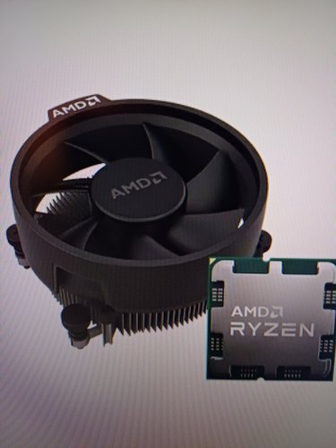 AMD 라이젠5-5세대 7500F (라파엘) (멀티팩(정품)).~