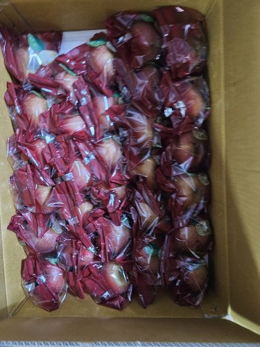 산지애 씻어나온 어린이 꿀사과 5kg 1box / 봉지 세척사과 , 당도선별 12brix