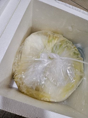 [소문난 배윤자] 일품 백김치 5kg