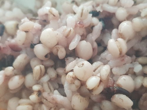 [자연주의] 무농약 율무쌀 450g