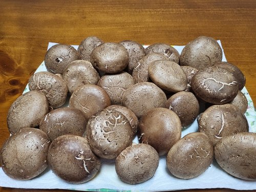 무농약 표고버섯 생표고버섯 상품1kg