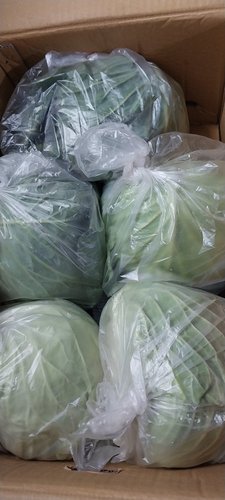 산정마을 국내산 양배추 1통(3kg내외)