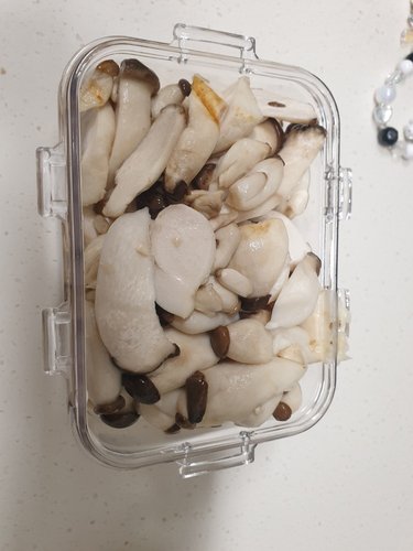 미니새송이 버섯 총알버섯 콩새송이2kg