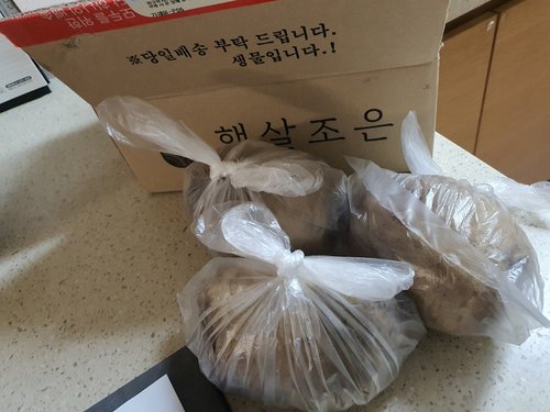 제주 햇 레드 비트 1kg(특품) 레드비트