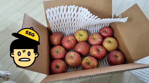[유명산지] 못생겨도 맛좋은 가정용 사과(흠과) 2.5kg 10-15과내