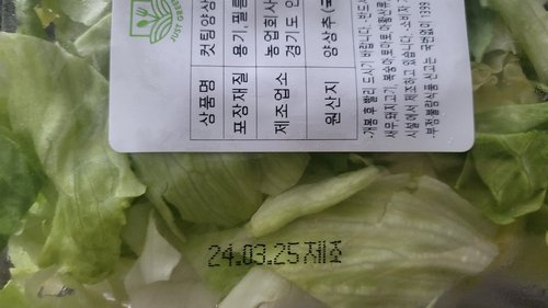 컷팅 양상추 (200g)