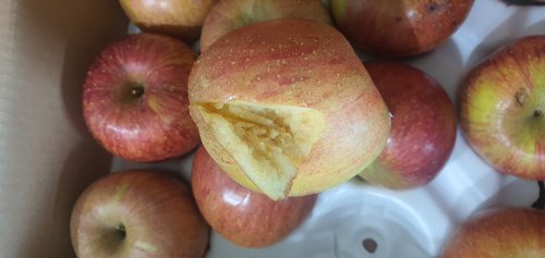 [경상북도][산지직송] 과즙가득 의성 흠집 사과(중) 4kg
