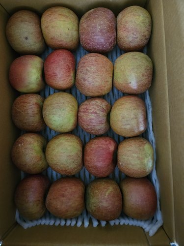 [유명산지] 못생겨도 맛좋은 가정용 사과(흠과) 5kg 25과내