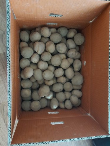 [자연맛남] 국내산 포슬포슬 수미감자 10kg (중)