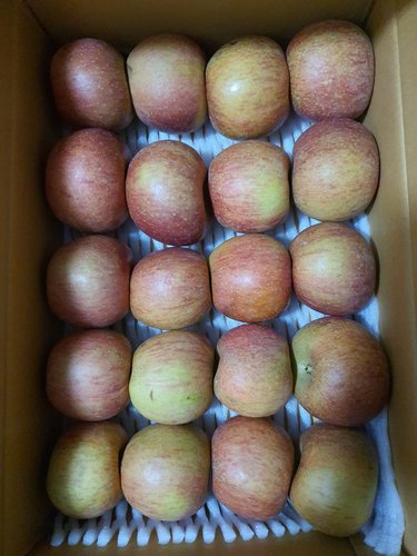 [유명산지] 못생겨도 맛좋은 가정용 사과(흠과) 5kg 25과내