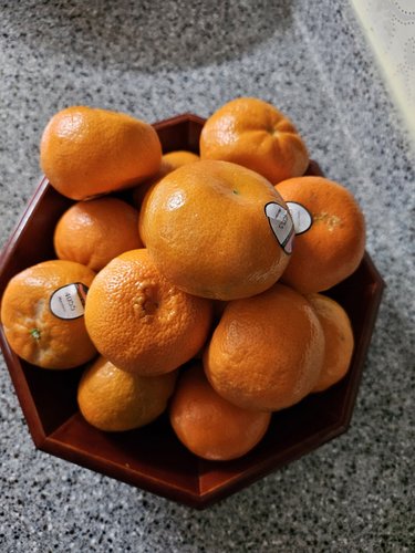 식탐대첩 미국 만다린 감귤 오렌지 5kg