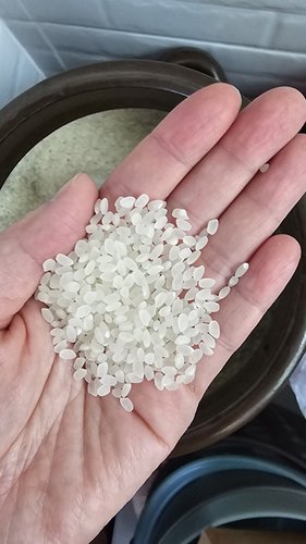 [정기배송가능][출고당일도정]2023년 햅쌀 당진해나루쌀 삼광미 특등급 20kg
