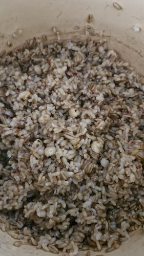 자연담은 유기농 옥수수쌀 300g