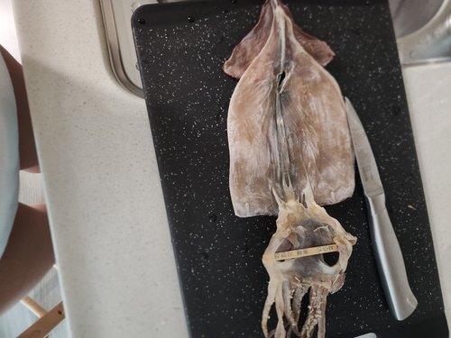 엄마애바다 마른오징어 20미 (1kg/1.2kg)_국내산 정품 오징어