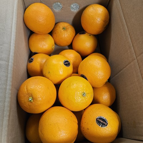 고당도 블랙라벨 오렌지 중소과 20과 3kg(2set 구매 시 4과 증정)