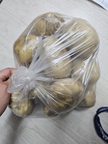 [새벽시장]가락시장 감자 1kg
