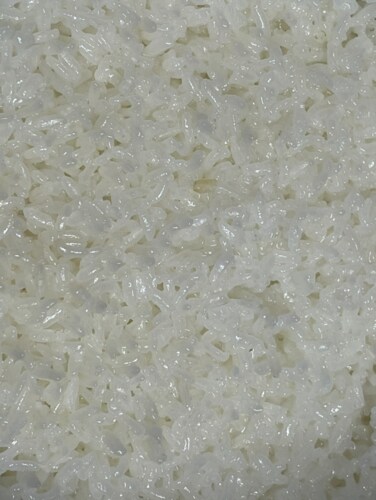 [2023년산] 신 자채쌀 10kg