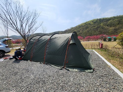 코베아 고스트 팬텀 카키 24년 신형 터널형 텐트