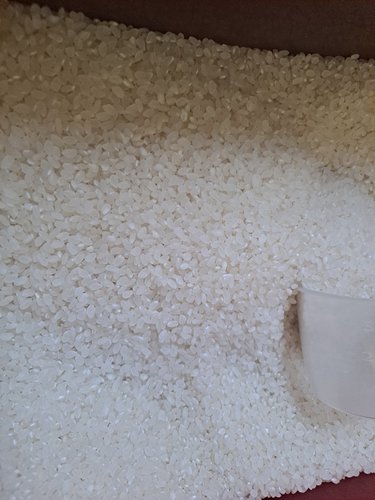 [정기배송가능][삼광미 특등급]2023년산 당진해나루 씻어나온쌀 10kg (농협/당진해나루쌀조합)