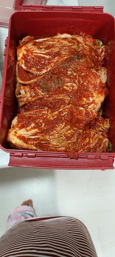 [맛날] 당일담근 포기김치 10kg