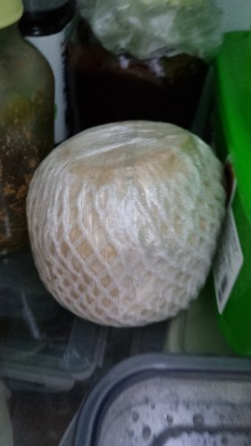[베트남산] 코코넛 1통 (1kg내외)