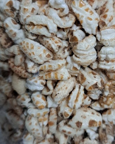 고대원시곡물 호라산밀 뻥 300g
