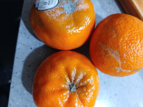 식탐대첩 미국 만다린 감귤 오렌지 3kg