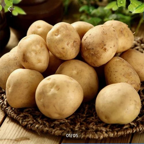 24년 국내산 햇 수미 감자 3kg~10kg(중/대/특/왕특사이즈)