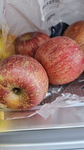 [경상북도][산지직송] 과즙가득 의성 흠집 사과(중) 10kg