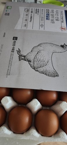[3번사육] 지리산 산골 어린닭이 낳은 신선햇달걀 20입