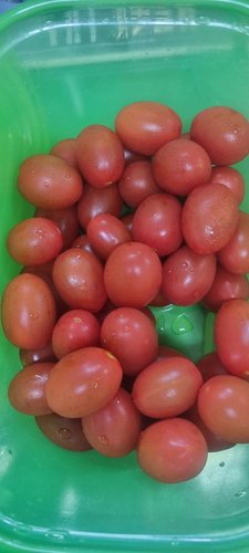 [무료배송]국산 방울토마토 2kg(중과)