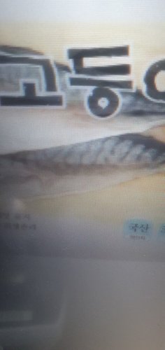 [냉장][국산] 안동 간고등어 (500g/손)