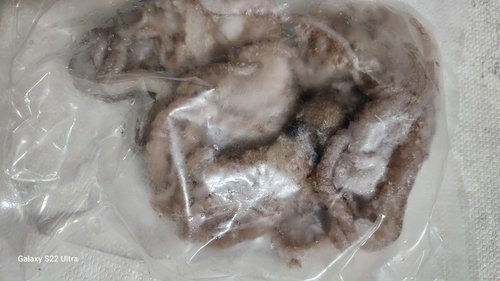 [냉동][중국] 살아있을 때 급냉한 낙지 (3~4미 내외, 500g)