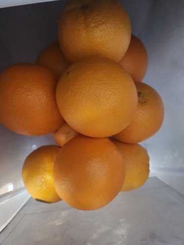 [블랙라벨! 고당도! 대과!]Mpark 미국산 캘리포니아 실속 오렌지 10kg