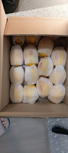 성주 꿀 참외 5kg (선물용/15-20과)