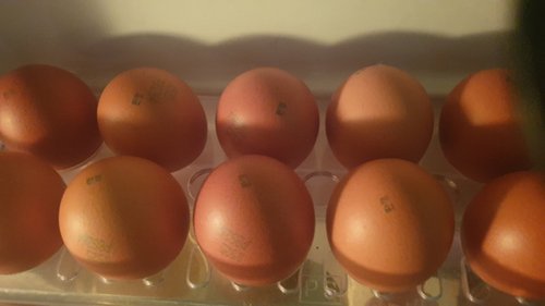 [하림] 1등급 계란 15구 (대란, 780g)
