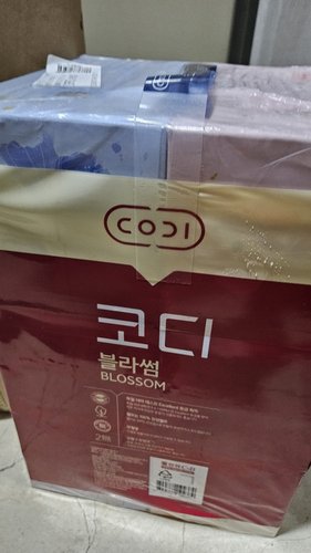 SSG단독 코디 블라썸 미용티슈 230매*6팩