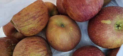 사과 알뜰 중소과 2.5kg(11~17과)