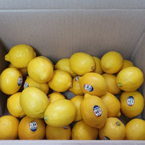정품 팬시 레몬 30개입 총3.6kg (개당 121g내외)