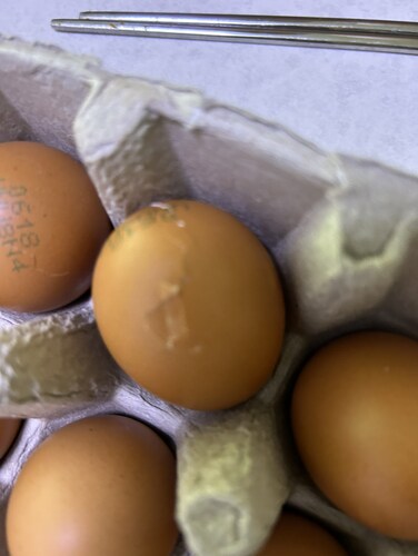 [하림]어린닭이 낳은 무항생제 햇달걀 25구(875g)